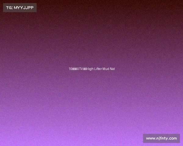 10款改装UTV 征战High Lifter Mud Nat